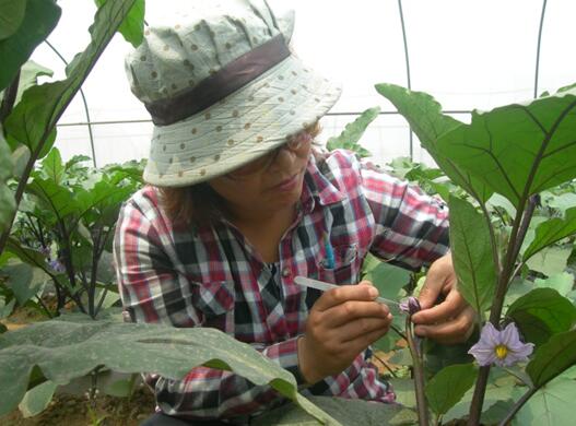 社员风采 赵香梅