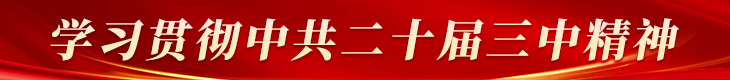 深入学习宣传贯彻党的二十大精神